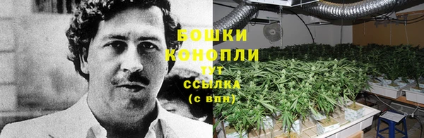 кокаин колумбия Алзамай