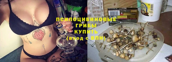 бошки Алексеевка